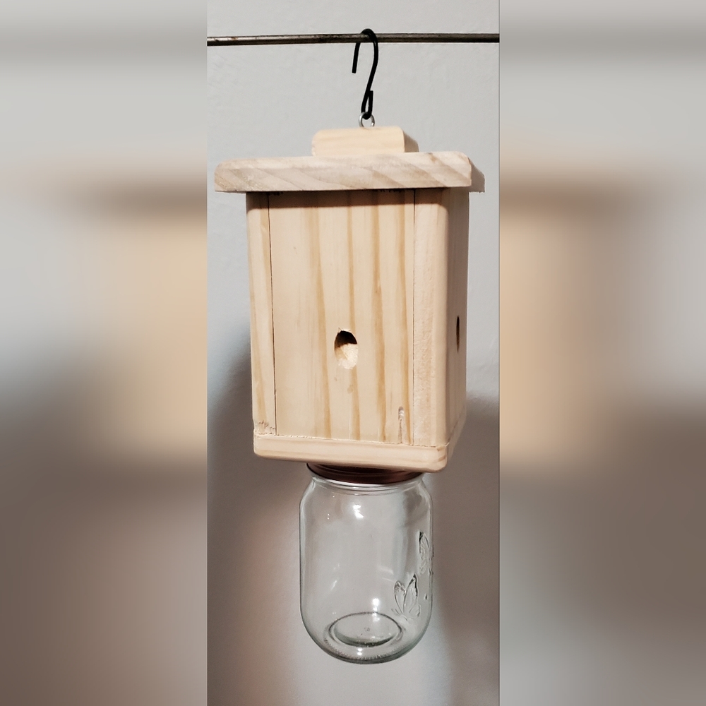 Carpenter Bee traps